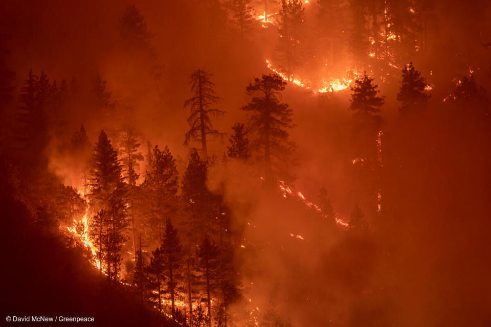 2020年9月21日，美國南加州大火持續延燒，焚燒範圍增長志超過10萬英畝（405平方公里，面積相當於約1.5個臺北市）。