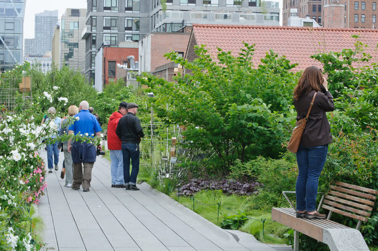 <span class="caption">The High Line park in Manhattan, New York, is a good example of a tranquil space that is part of a wider urban environment.</span> <span class="attribution"><a class="link " href="https://commons.wikimedia.org/w/index.php?curid=24266371" rel="nofollow noopener" target="_blank" data-ylk="slk:InSapphoWeTrust;elm:context_link;itc:0;sec:content-canvas">InSapphoWeTrust</a>, <a class="link " href="http://creativecommons.org/licenses/by-nc-sa/4.0/" rel="nofollow noopener" target="_blank" data-ylk="slk:CC BY-NC-SA;elm:context_link;itc:0;sec:content-canvas">CC BY-NC-SA</a></span>