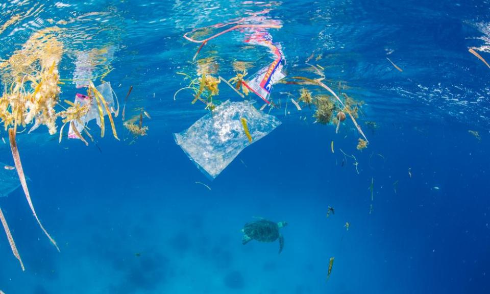 A green sea turtle swims amid plastic in the Philippines