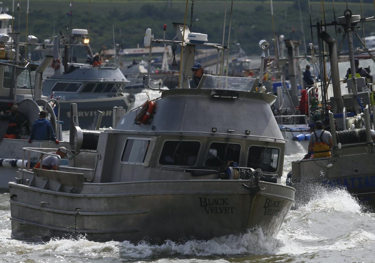 <span class="caption">Fishing boat captains jockey for position near the mouth of the Naknek River, which flows into Bristol Bay.</span> <span class="attribution"><a class="link " href="https://www.gettyimages.com/detail/news-photo/fishing-boat-captains-jockey-for-position-at-a-sockeye-news-photo/1228198644?adppopup=true" rel="nofollow noopener" target="_blank" data-ylk="slk:Luis Sinco/Los Angeles Times via Getty Images;elm:context_link;itc:0;sec:content-canvas">Luis Sinco/Los Angeles Times via Getty Images</a></span>