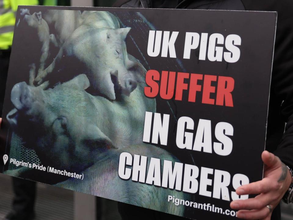 The activists say gas chambers are cruel (PA)