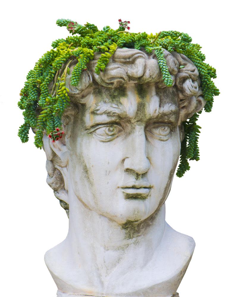 Taking the Mic: a replica of Michelangelo’s David with extra plants.