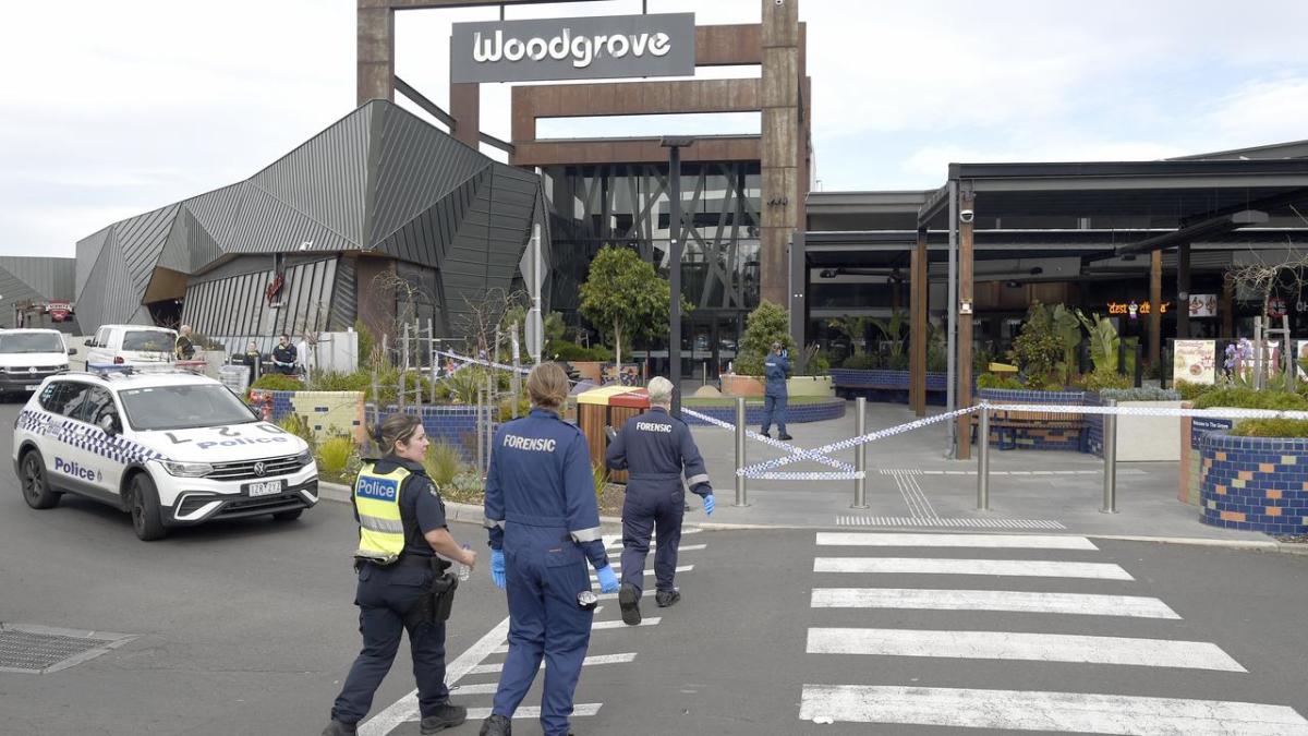 Teen dead after stabbing in shopping centre