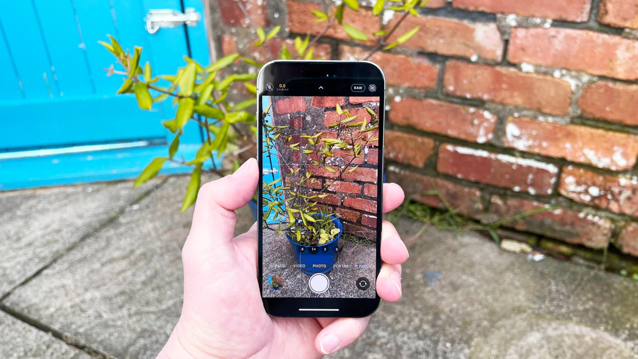  An image of an iPhone being held while taking a photo of a plant against a brick wall and a blue gate 