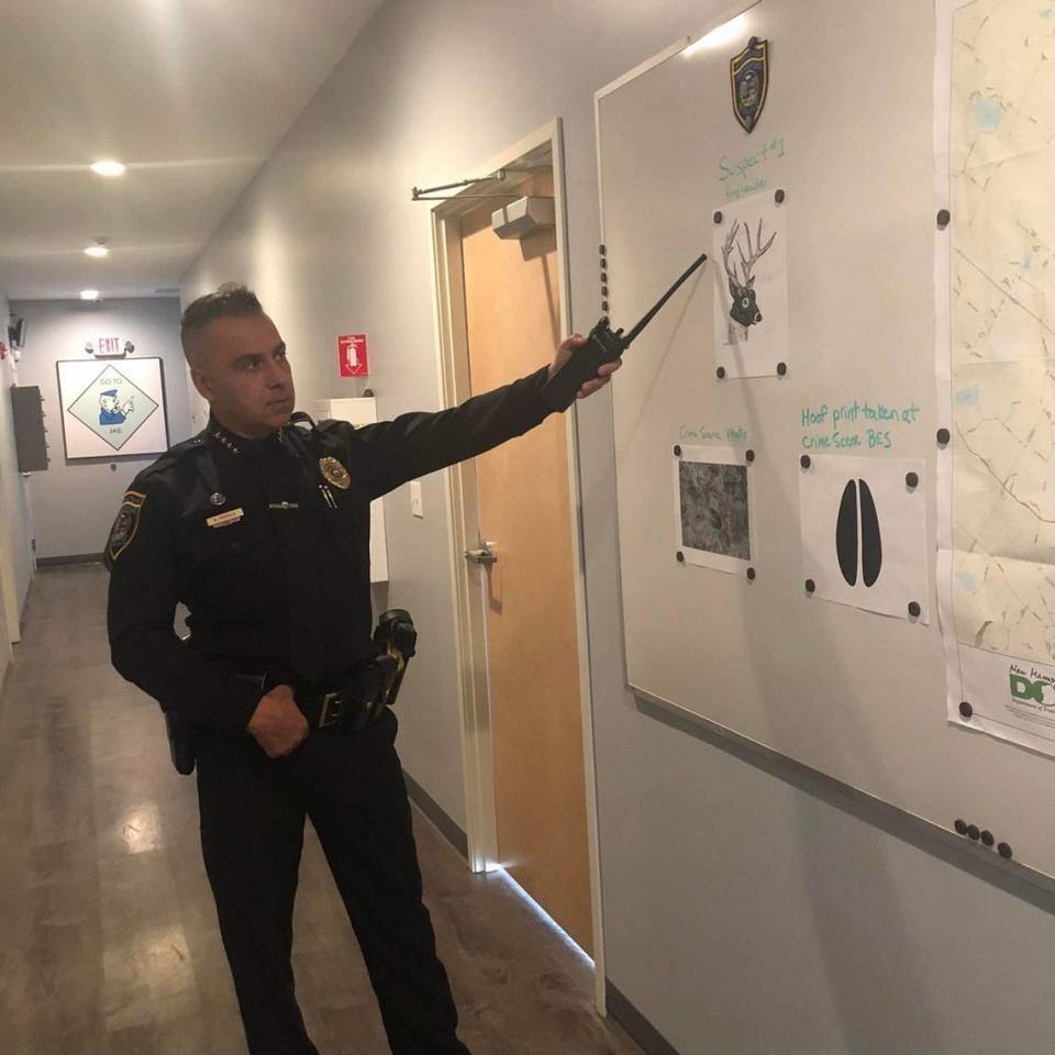 Barnstead police Chief Paul Poirier points to the sketch of the deer suspect.