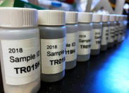 Lead samples line up ready for testing at the Lamont-Doherty Earth Observatory in Palisades, New York, U.S. March 29, 2018. REUTERS/Mike Wood