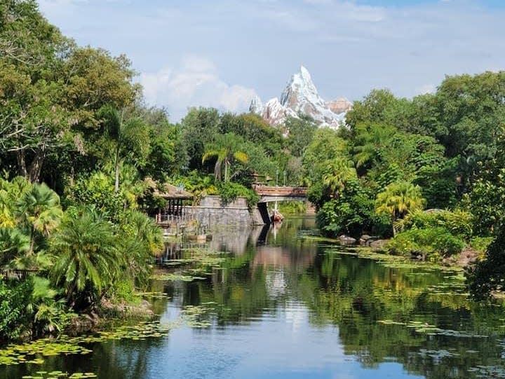 peak of expedition everest from across the water at animal kingdom