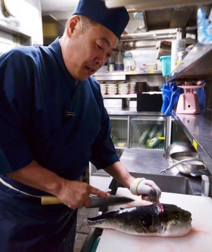 Japanese chef Shigekazu Suzuki cuts and trims a pufferfish to remove toxic internal organs at his restaurant Torafugu-tei in Tokyo. Suzuki is one of an exclusive coterie of Tokyo chefs who have undergone special training and licensing that allows them to serve the potentially fatal fish