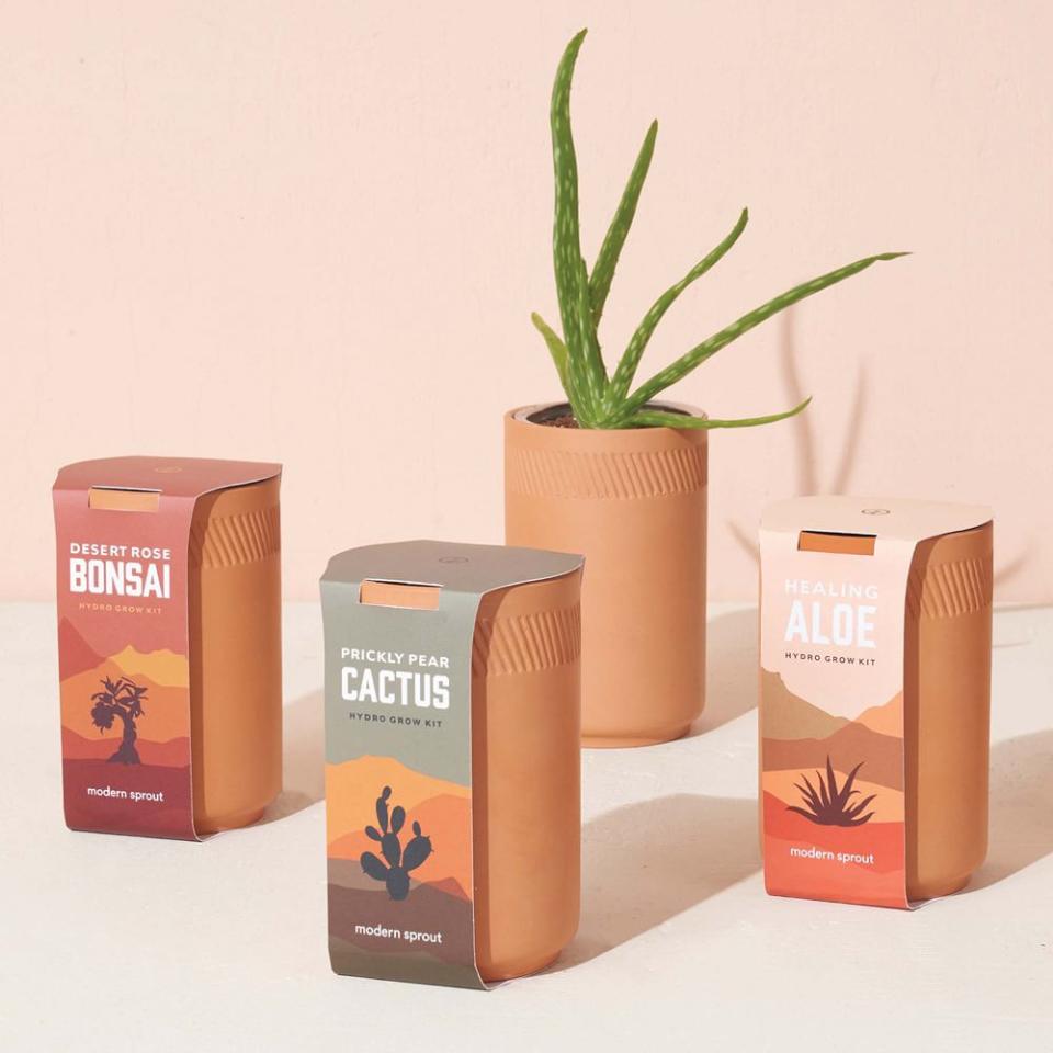 <p><a href="https://go.redirectingat.com?id=74968X1596630&url=https%3A%2F%2Fwww.westelm.com%2Fproducts%2Fmodern-sprout-terracotta-assorted-grow-kit-d8484&sref=https%3A%2F%2Fwww.thepioneerwoman.com%2Fholidays-celebrations%2Fgifts%2Fg41118450%2Fgifts-for-wife%2F" rel="nofollow noopener" target="_blank" data-ylk="slk:Shop Now;elm:context_link;itc:0;sec:content-canvas" class="link ">Shop Now</a></p><p>Modern Sprout Terracotta Assorted Grow Kit</p><p>$79.00</p><p>westelm.com</p><span class="copyright">West Elm</span>
