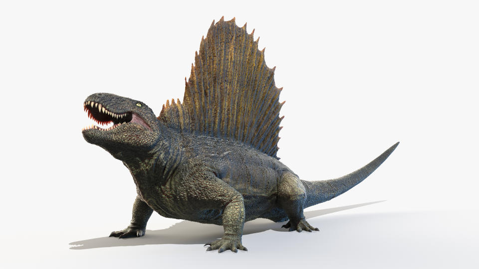 So, vermuten Forschende heute, sahen Dimetrodons aus. Aktuell kann ein Skelett eines solchen Urzeitmonsters ersteigert werden