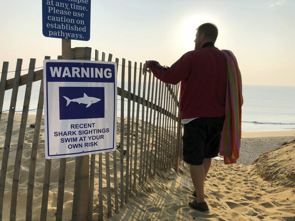 FILE - In this Aug. 16, 2018, file photo, Steve McFadden, of Plattsburgh, N.Y., gazes at Long Nook Beach in Truro, Mass. Researchers on Cape Cod are launching a new study focused on the hunting and feeding habits of the region's great white sharks following two attacks on humans in 2018, including the state's first fatal one in more than 80 years. (AP Photo/William J. Kole, File)