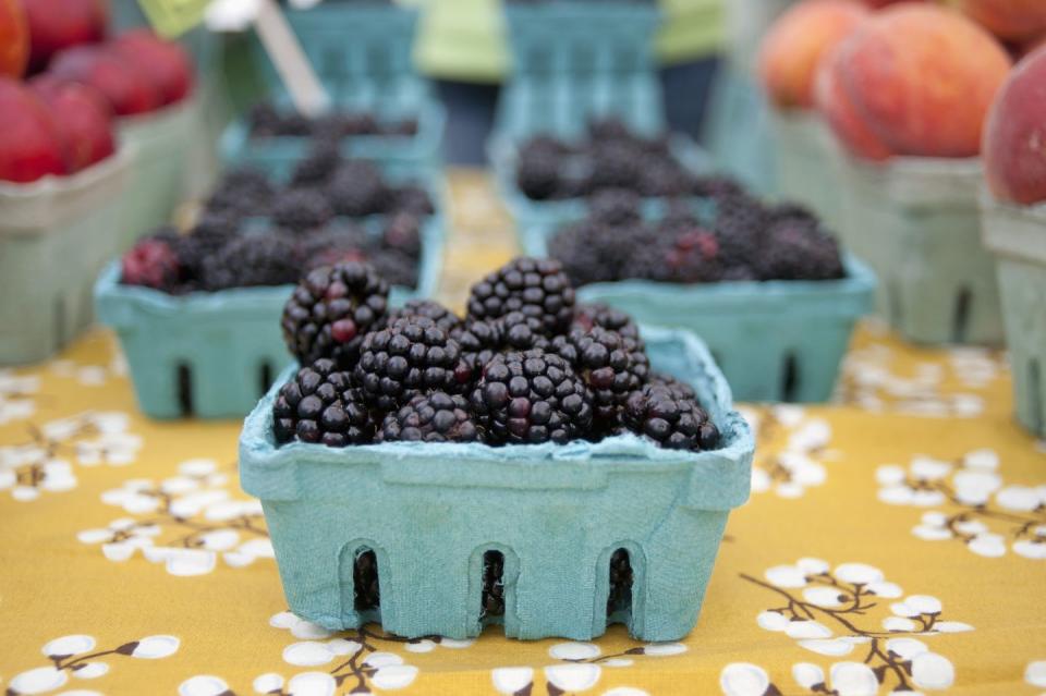 summer fruit blackberries