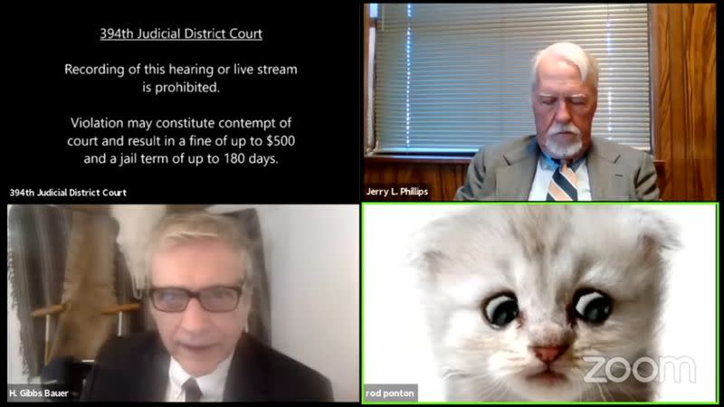 Lawyer appears with kitten filter turned on during a virtual court hearing in Texas