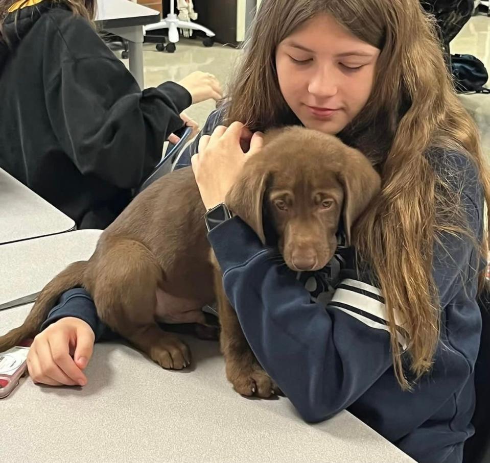 Dickson County High School student, Brynee Snow, holds CJ in class.