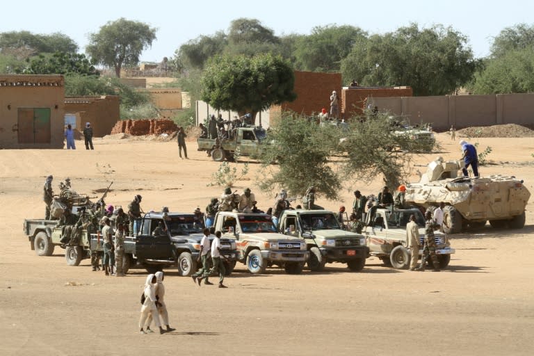 Rights group Amnesty International has accused Sudanese government forces of killing scores of civilians, including many children