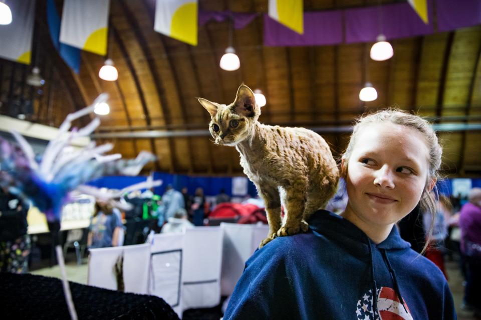 Taylor Huffman entertains Apprentice, an 8-month-old Devon Rex, at the 2023 McKenzie River Cat Club Cat Show at the Lane Events Center in Eugene, Oregon.