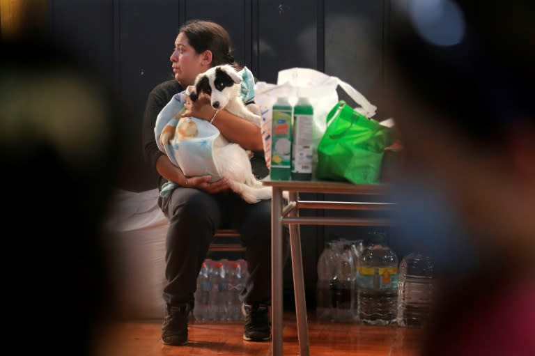 Une femme tient dans les bras son chien victime de brûlures lors des incendies de forêt, dans un centre de soins médicaux improvisés pour animaux, à Santa Juana, dans la province de Concepcion, au Chili, le 5 février 2023   (AFP - JAVIER TORRES)