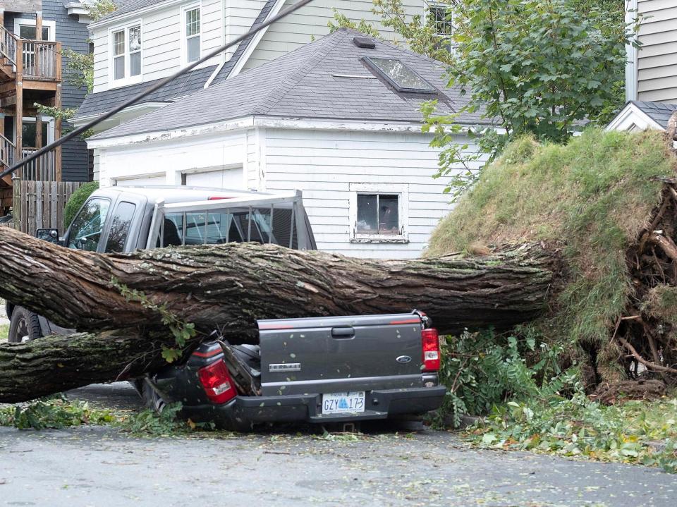 A tree fell on a truck as Storm Fiona swept through Nova Scotia (REUTERS)