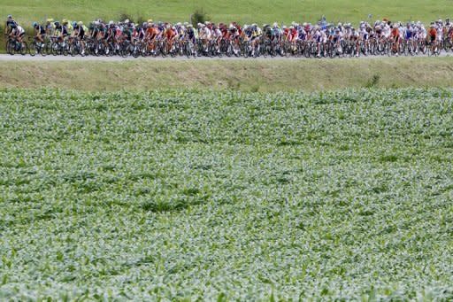 The pack rides in the 191 km and fourteenth stage of the 2012 Tour de France cycling race starting in Limoux and finishing in Foix, southern France. Spaniard Luis Leon Sanchez handed his stricken Rabobank team a welcome boost by soloing to victory on a Tour de France stage Sunday marked by mass punctures after spectators threw nails on the road