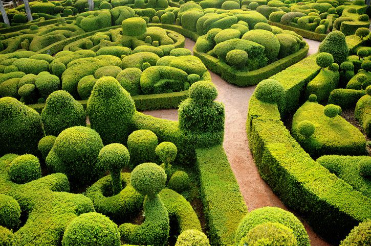 <p>Overlooking the Dordogne Valley on a rocky cliff, the Hanging Gardens of Marqueyssac contains over 150,00 boxwood trees meticulously laid and manicured to create mesmerizing patterns. The originals plan for the garden at the 17th-century chateau have been attributed to a student of royal landscape architect André Le Nôtre. However, it’s believed that Julien de Cervel began developing the verdant labyrinth as we know it today after purchasing the property in the 1860s. </p><p>After much restoration and the addition of a cascading waterfall from the belvedere, the greenspace officially opened to the public in 1996 and have since been named of the “Notable Gardens of France” by the Committee of Parks and Gardens of the French Ministry of Culture. <br></p>