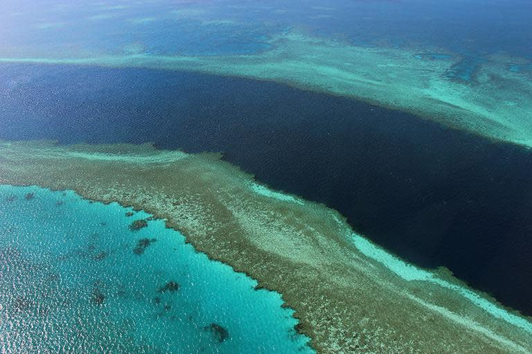 An aerial view of the Great Barrier Reef off the coast of the Whitsunday Islands, along the central coast of Australia's Queensland, pictured in November 2014