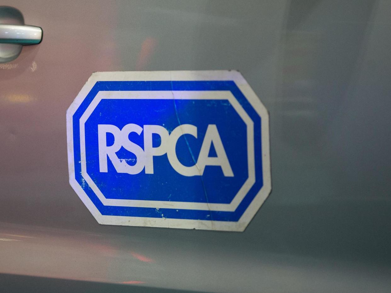 The RSPCA has appealed for information to help catch the person responsible for the dog's death: Aaron Chown/PA Archive/PA Images