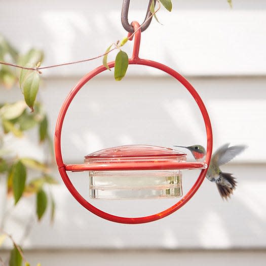 Circle Hummingbird Feeder