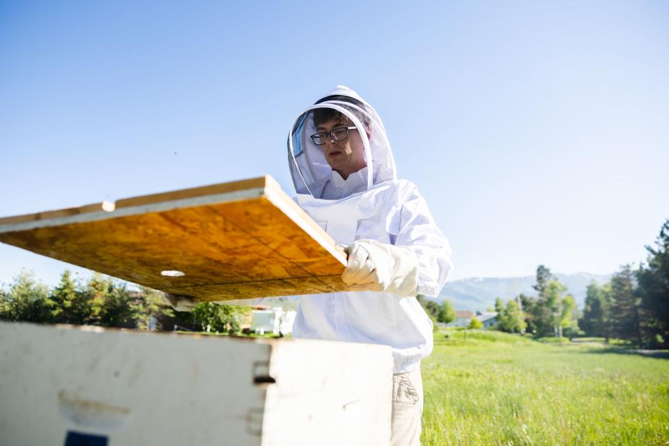 Deseret News features writer Collin Leonard lifts the lid to his beehive in Park City on June 21, 2023. | Ryan Sun, Deseret News