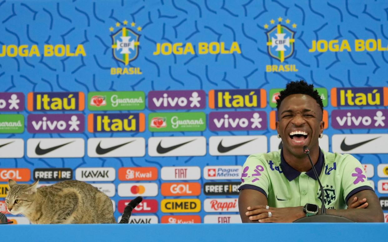 Vinicius Junior laughs as a cat makes itself at home during Brazil's press conference - AP