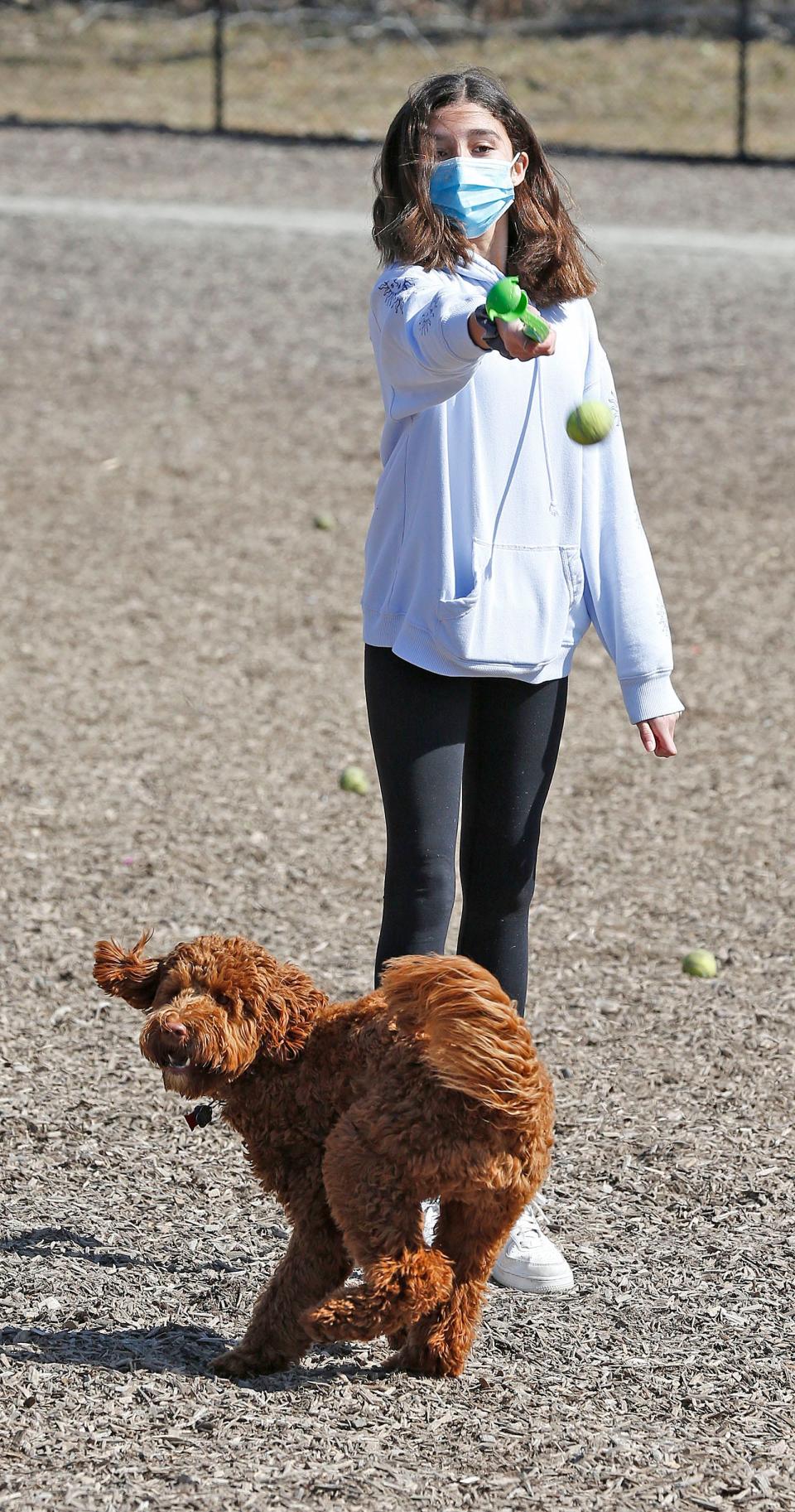 Sofia Eastwood, of Norwell, plays with her new puppy, Finn, at the Scituate Dog Park on Wednesday, March 10, 2021.
