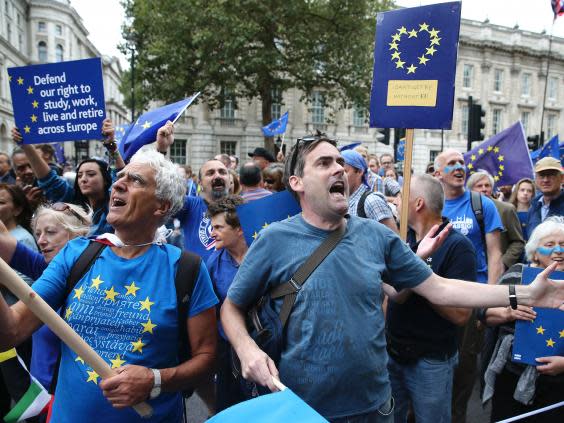 An anti-Brexit march in Westminster after the referendum (AFP)