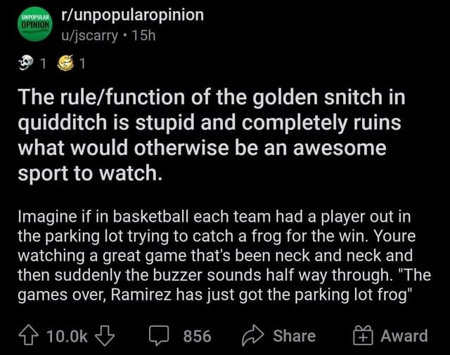 "The rule/function of the golden snitch in quidditch is stupid and completely ruins what would otherwise be an awesome sport to watch."