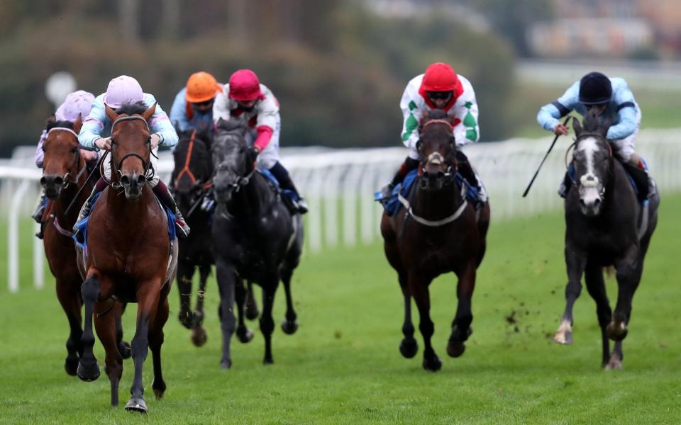 Leicester Racecourse — Marlborough racing tips and best bets for Thursday, December 3 - PA