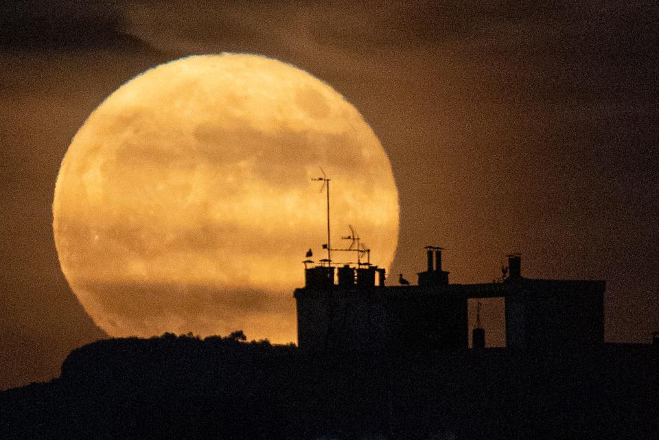 The full moon rises over Marseille, southern France, Tuesday, June 14, 2022.