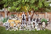 Denise Tubangui (USA) had a collection of 2,429 cow-related items by March 2011. Denise started collecting in 1990, when she saw a cow figurine in her mother's kitchen. Her favourite item is the life-sized calf that her neighbours gave her as a present.
