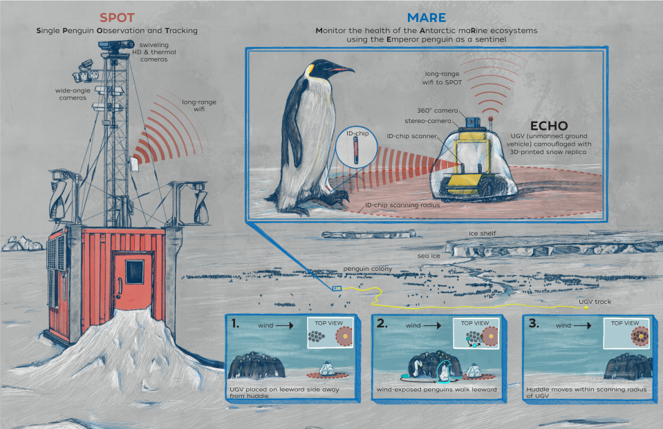 An illustration of the remote-controlled ground robot, ECHO.