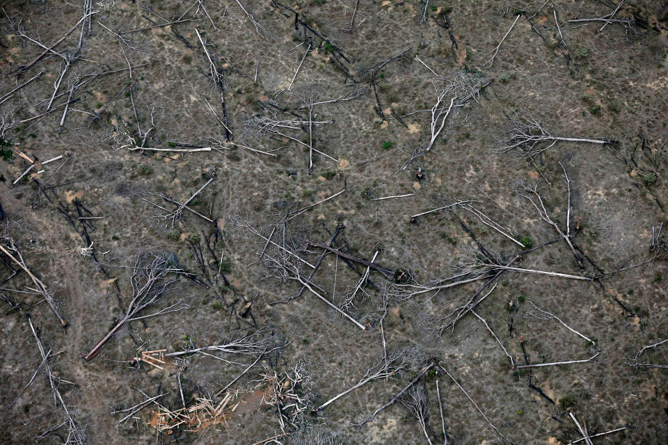 Image: An aerial view shows a deforested plot of the Amazon near Porto Velho (Bruno Kelly / Reuters)