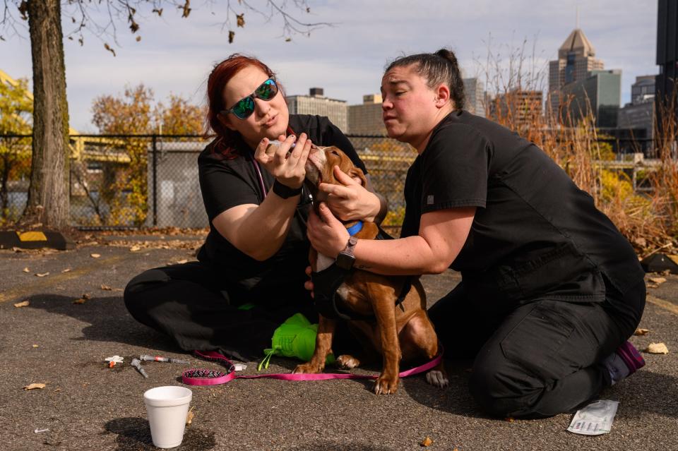 A veterinary technician and veterinarian with the Humane Animal Rescue of Pittsburgh administer vaccines to a dog at a mobile clinic for pets on Oct. 26, 2023, in Pittsburgh.