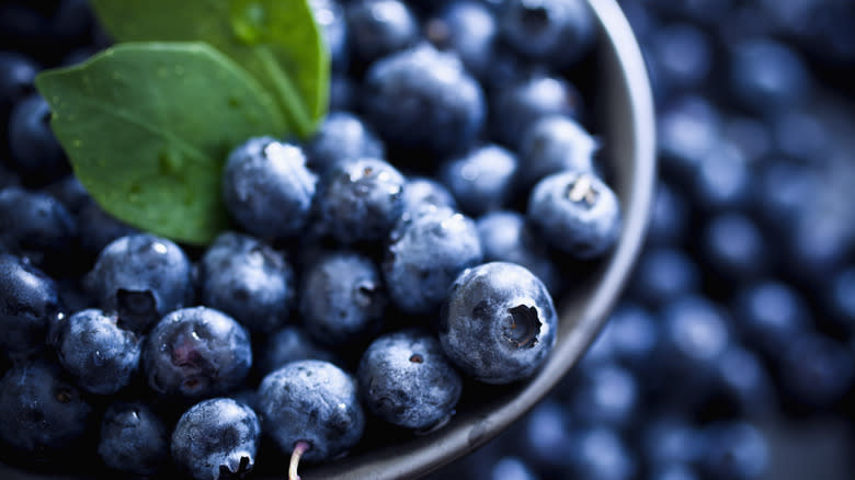 Close-up of blueberries in a bowl