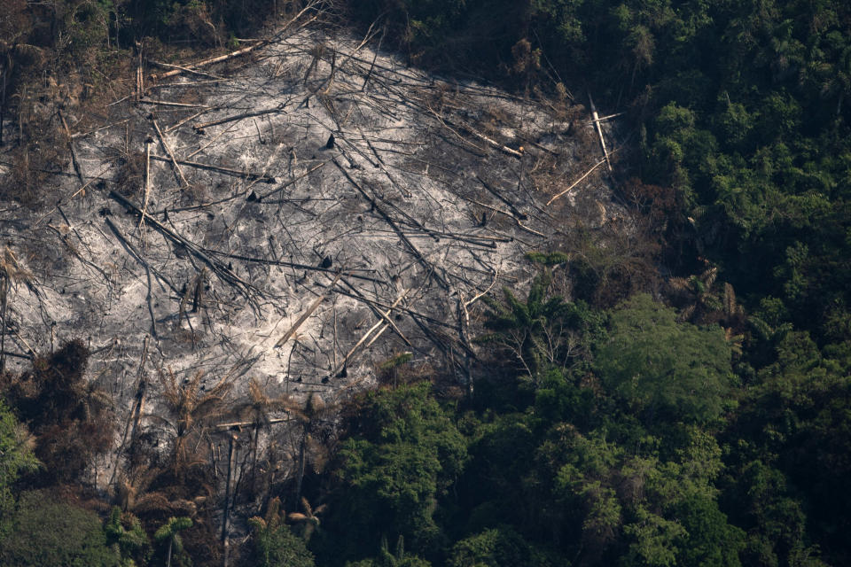 An area left scorched by fires is seen in the Menkragnoti indigenous reserve of the Kayapo indigenous group of Amazon rainforest in Altamira, Para state, Brazil, Wednesday, Aug. 28, 2019. President Jair Bolsonaro said Wednesday that Latin America's Amazon countries will meet in September to discuss both protecting and developing the rainforest region, which has been hit by weeks of devastating fires. (AP Photo/Leo Correa)