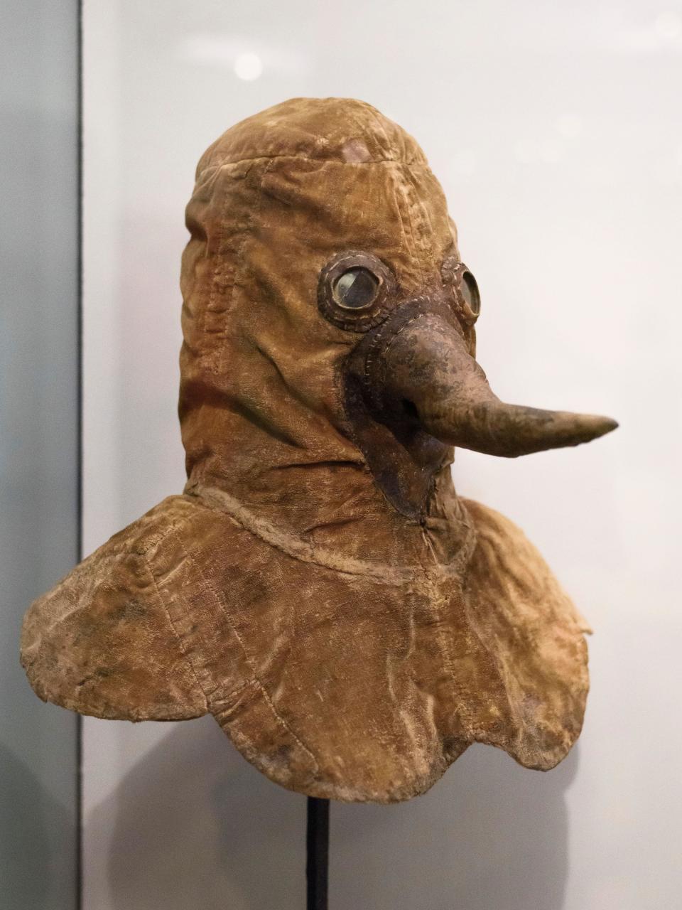 A velvety-looking mask that goes over the head and covers the shoulders, with a conelike beak nose and plastic holes for the eyes