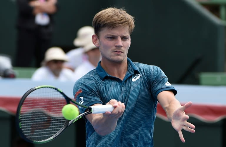 David Goffin of Belgium hits a return against Feliciano Lopez of Spain during the men's singles final of the Kooyong Classic, in Melbourne, on January 15, 2016