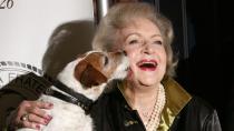 <p>The Wisconsin Humane Society posted a big "Thank You!" to White and her fans on Facebook after receiving over $60,000 from more than 1,600 Betty White Challenge donations. </p> <p>"This tremendous wake of kindness will help countless animals and the people who love them," <a href="https://cbs58.com/news/wisconsin-humane-society-receives-more-than-60k-in-donations-from-the-betty-white-challenge" rel="nofollow noopener" target="_blank" data-ylk="slk:the shelter added in the post;elm:context_link;itc:0;sec:content-canvas" class="link ">the shelter added in the post</a>. </p>