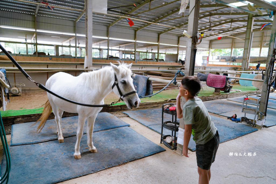 新竹尼普頓馬術創藝園區