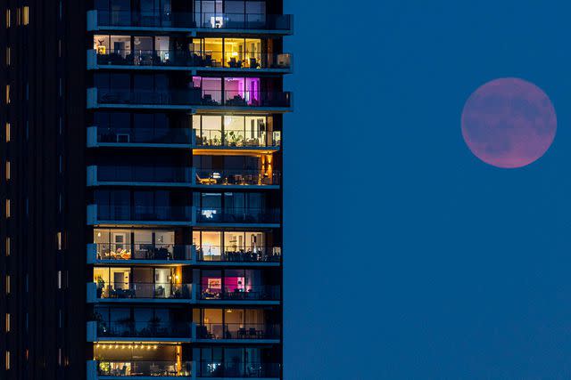 <p>Nicolas Economou/NurPhoto via Getty</p> Rare super blue moon in the Netherlands