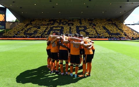 wolves  - Credit: GETTY IMAGES