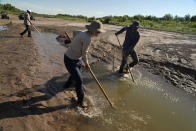 Tres biólogos tratan de pescar ejemplares del carpa chamizal para llevarlos a otras partes del río Bravo donde fluye más agua el 26 de julio del 2022 cerca de Albuquerque (Nuevo México). (AP Photo/Brittany Peterson)