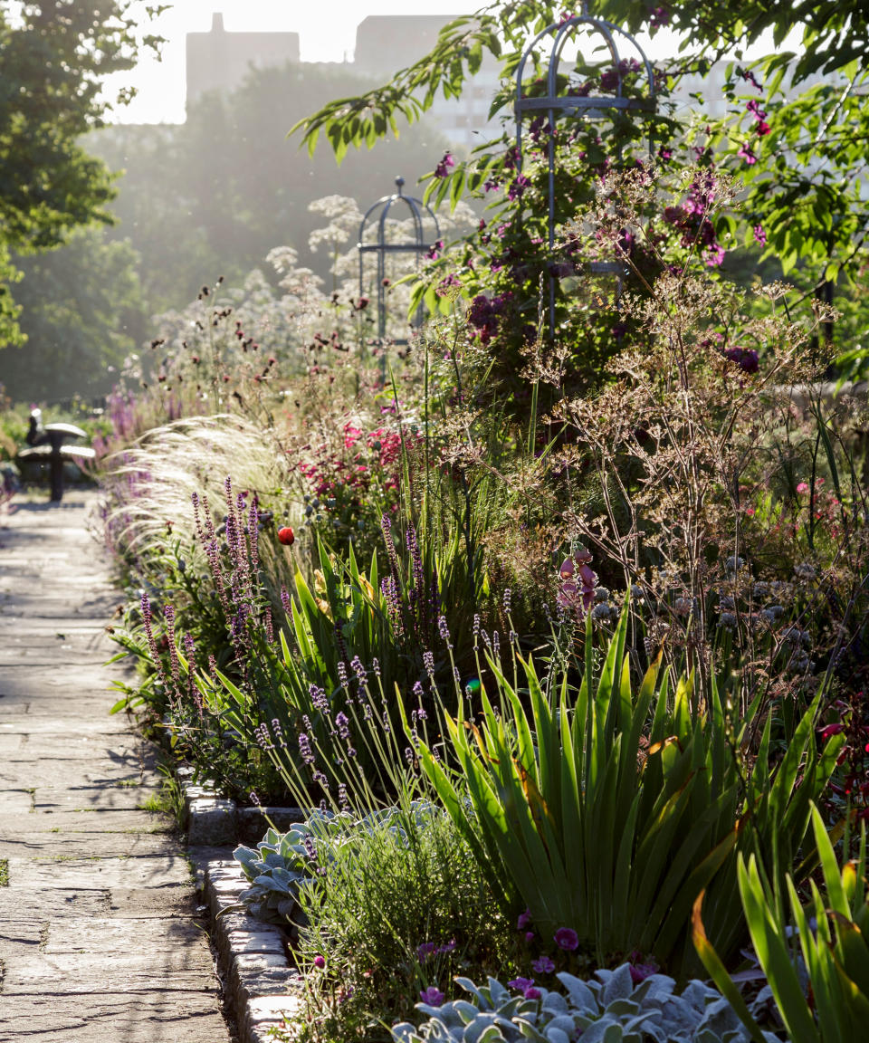 Consider the seasons when planting for a sensory experience