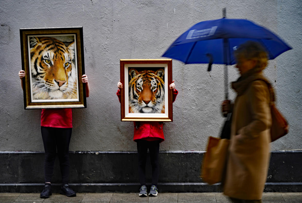 (Left-right) Tara (10) and Aoife (7) Mooney from Ashbourne in Co Meath, pose with tiger oil paintings by Dublin based artist Angela Maximova which are currently on display at Balla Ban Art Gallery in Westbury Mall, Dublin, to mark the Chinese New Year, the Year of the Tiger. Picture date: Tuesday February 1, 2022. (Photo by Niall Carson/PA Images via Getty Images)