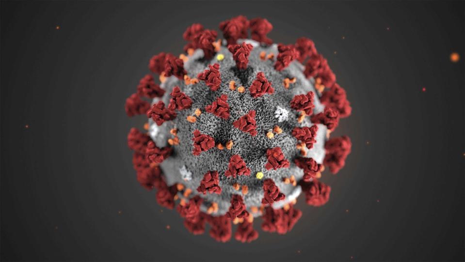 An illustration of the novel coronavirus.